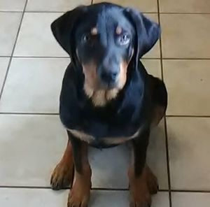 Meet your Posher, Cindy